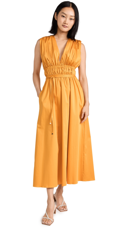 Altuzarra Fiona V-neck Gathered Sleeveless Midi Dress In Mirabelle