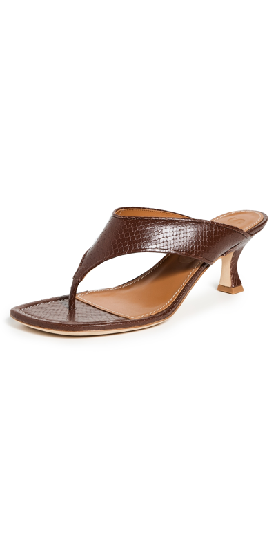 Staud Women's Natalia 35mm Croc-embossed Leather Sandals In Mahogany