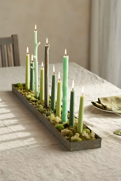 Terrain 10 Candlestick Iron Trough In Multicolor