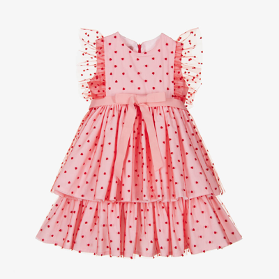 Phi Clothing Babies' Girls Pink Embroidered Tulle Dress