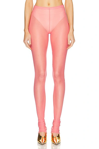 Blumarine Tulle Leggings In Pink Peony