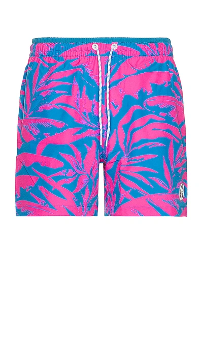 Chubbies The Palm Springers 5.5 Swim Trunk In Bright Pink