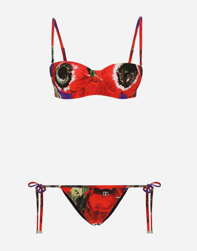 Dolce & Gabbana Logo And Anemone Print Triangle Bikini In Red