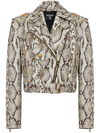 BALMAIN CROPPED PYTHON BELTED LEATHER BIKER JACKET