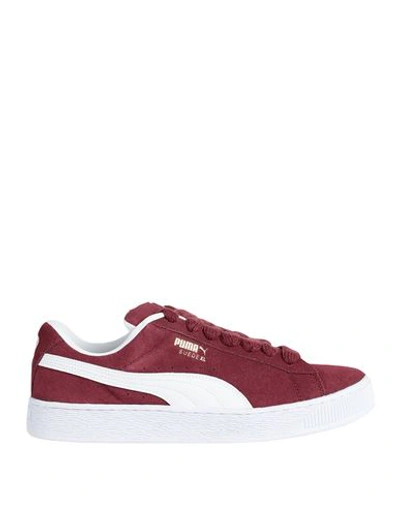 Puma Suede Xl Man Sneakers Burgundy Size 13 Leather In Red