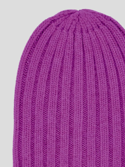 Laneus Hats In Purple