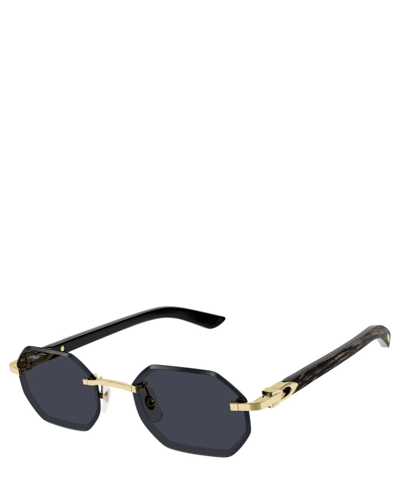 Cartier Sunglasses Ct0439s In Crl