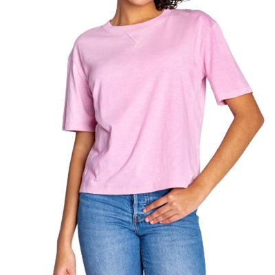 Pj Salvage Back To Basics Tee Shirt Top In Pink