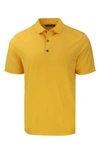 Cutter & Buck Solid Performance Recycled Polyester Polo In College Gold Heather