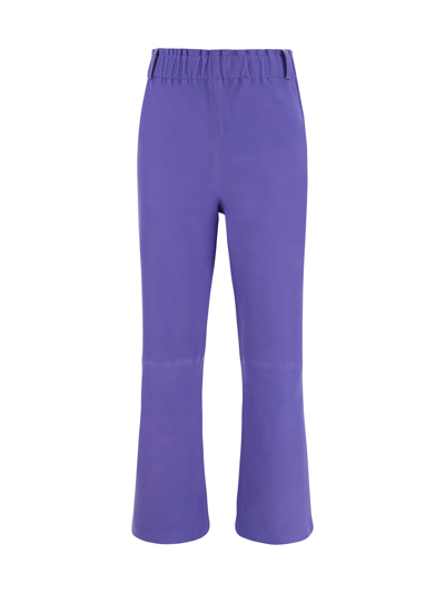 Arma Ferrara Pants In Purple