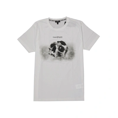 Paciotti Cesare Cotton T Shirt