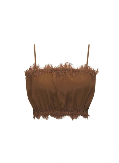 Gold Hawk Coco Bandeau In Brown