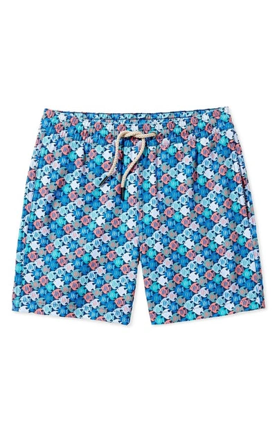 FAIR HARBOR FAIR HARBOR KIDS' BAYBERRY FISH PRINT WATER REPELLENT SWIM TRUNKS 