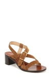 Veronica Beard Etta Strappy Leather Buckle Sandals In Hazelwood