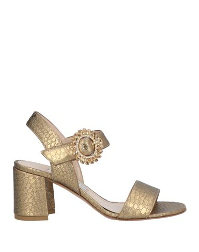 Francesco Sacco Woman Sandals Gold Size 11 Leather