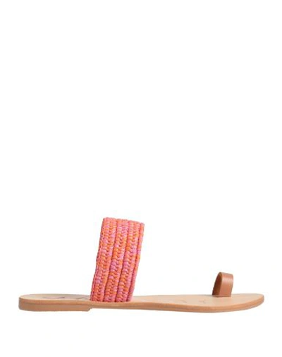 Manebi Manebí Woman Thong Sandal Pink Size 7 Leather, Natural Raffia