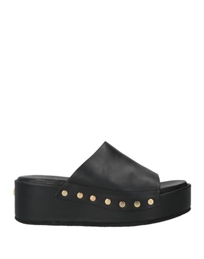Maje Woman Sandals Black Size 11 Leather