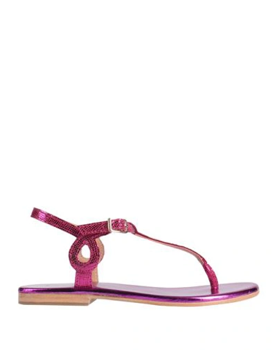 Cb Fusion Woman Thong Sandal Fuchsia Size 11 Leather In Pink