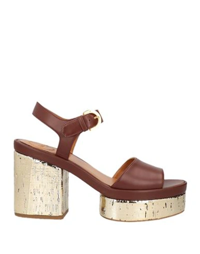 Chloé Woman Sandals Cocoa Size 7.5 Leather In Brown