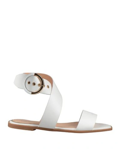 Geneve Woman Sandals Off White Size 8 Leather