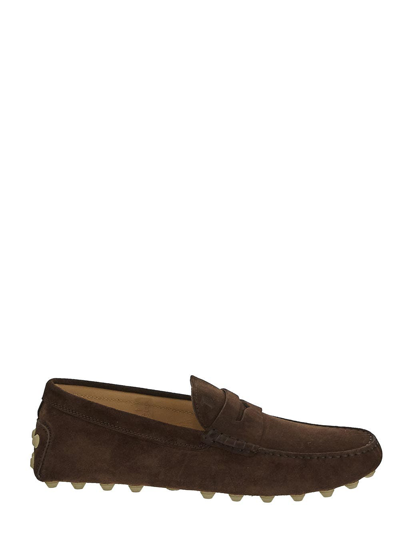 Tod's Gommino In Suede In Brown