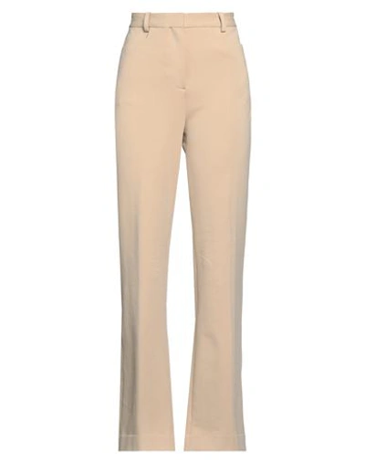 Circolo 1901 Woman Pants Beige Size 8 Cotton, Lycra