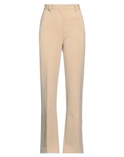 Circolo 1901 Woman Pants Beige Size 8 Cotton, Lycra In Beige
