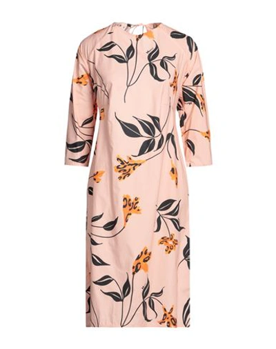 Marni Woman Midi Dress Light Pink Size 8 Cotton