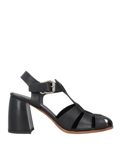 Laura Bellariva Woman Sandals Black Size 10 Calfskin