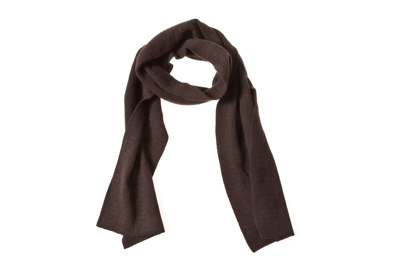 Fendi Scarf Scarves Foulard In Brown