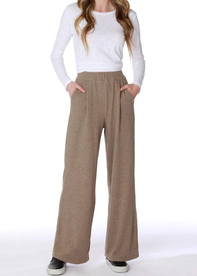 Bobi Wide Leg Pleated Pant In Taupe In Brown