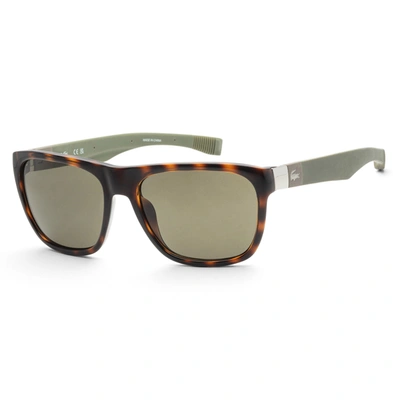 Lacoste Unisex 55mm Dark Havana Sunglasses In Brown