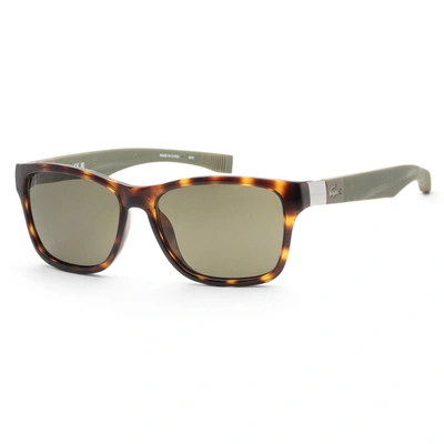 Lacoste Unisex 55mm Havana Sunglasses In Brown