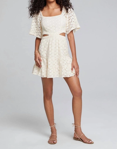 Saltwater Luxe Serena Dress In Natural In White