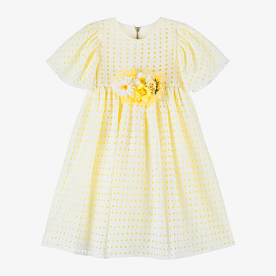 Graci Babies' Girls Yellow Embroidered Viscose Dress