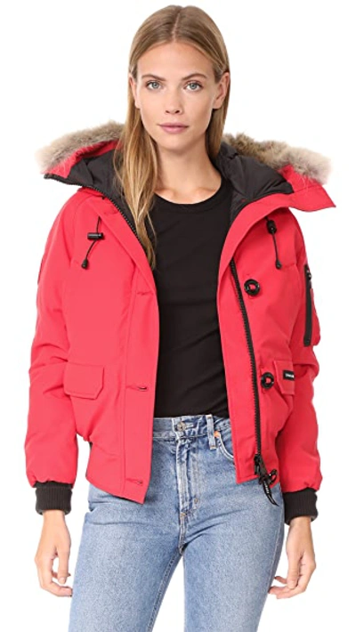 Canada Goose Chilliwack 短夹克 In Red