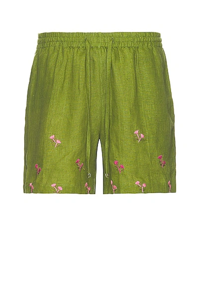 Harago Green Embroidered Shorts
