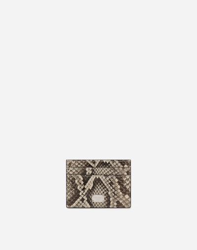 Dolce & Gabbana Python Skin Card Holder In イエロー
