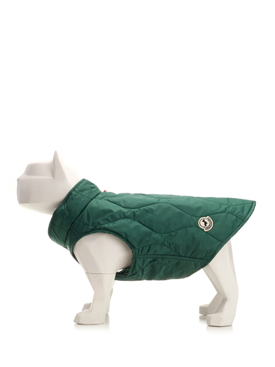 Moncler Water Repellent Dog Waistcoat In Green