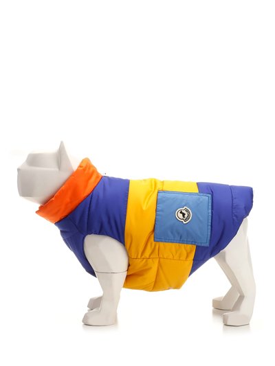 Moncler Patchwork Dog Vest In Multicolor