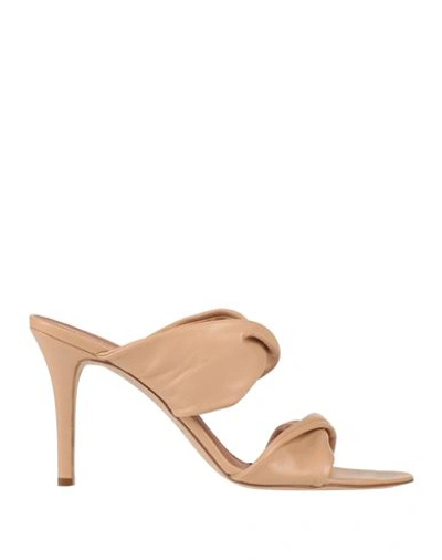 Via Roma 15 Woman Sandals Beige Size 11 Leather In Beige