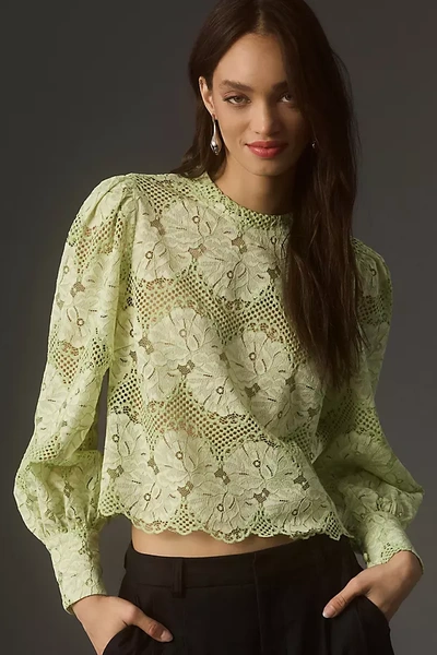 Dolan Left Coast Dolan Long-sleeve Mock-neck Lace Top In Green