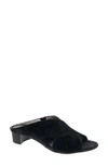 Ros Hommerson Va Va Voom Slide Sandal In Black Suede