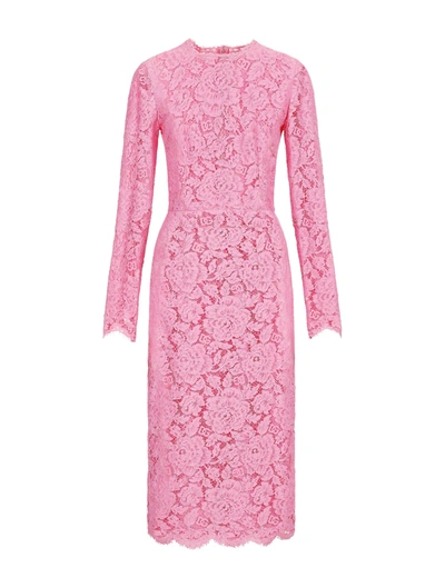 Dolce & Gabbana Floral Lace Long-sleeve Midi Dress In Pink & Purple
