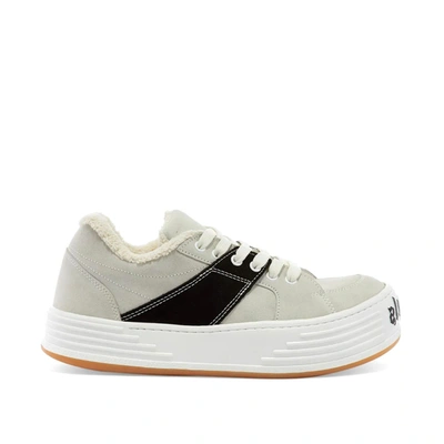 Palm Angels Suede Logo Sneakers In Gray