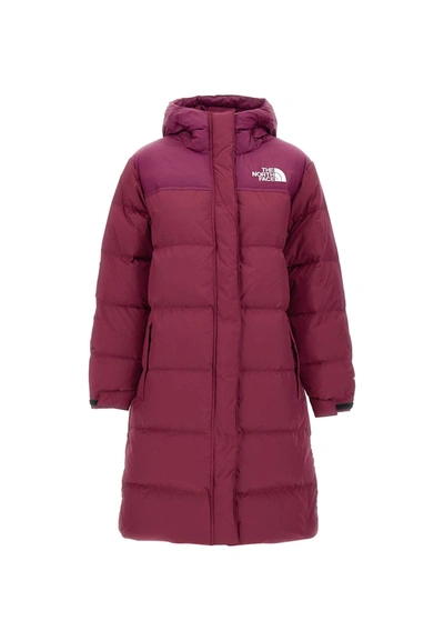 The North Face Nuptse Hooded Parka In Bordeaux