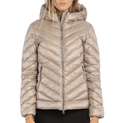 Woolrich Chevron Quilted Hooded Jacket Woman Down Jacket Dove Grey Size L Polyamide In Default Title