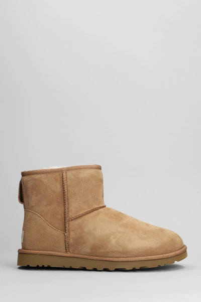 Ugg Classic Mini Low Heels Ankle Boots In Leather Colour Suede