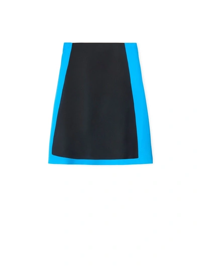 Loewe Skirt In Black/blue