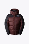 THE NORTH FACE THE NORTH FACE MENS HMLYN DOWN PARKA BURGUNDY AND BLACK HOODED PUFFER PARKA
